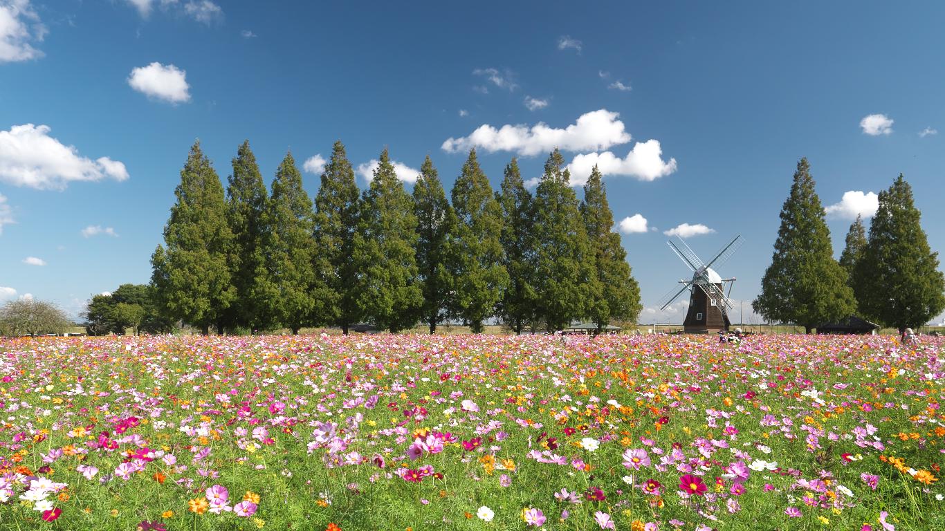 10月