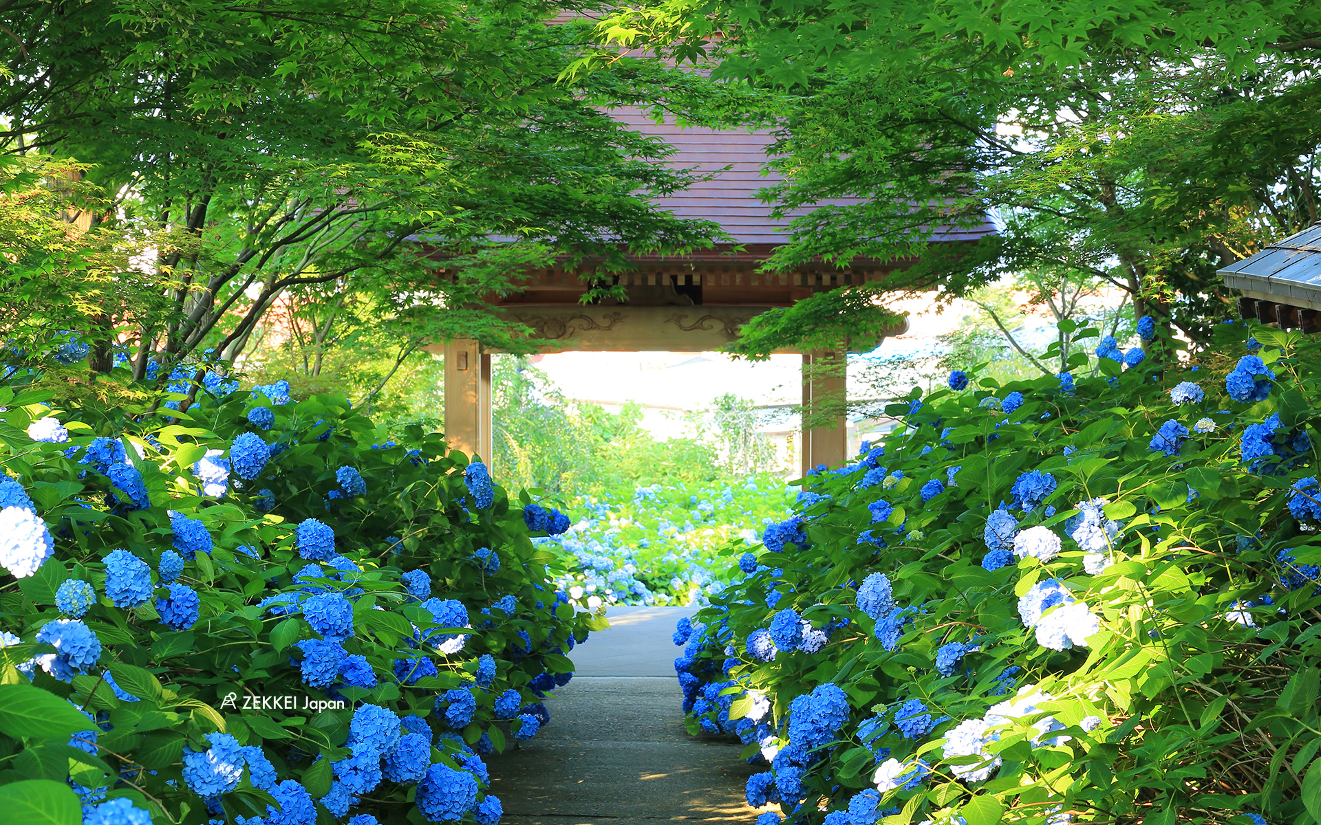 6月